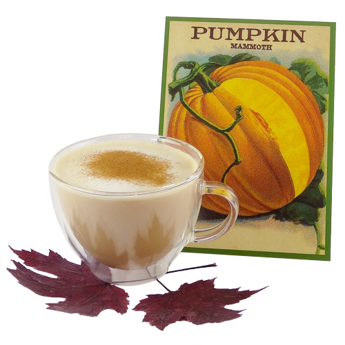Pumpkin Spice Tea Latte