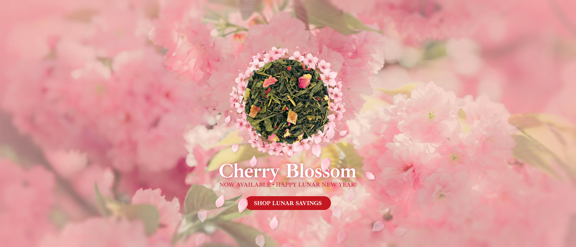 Murchie's Cherry Blossom loose tea with a promotional offer for Lunar New Year.