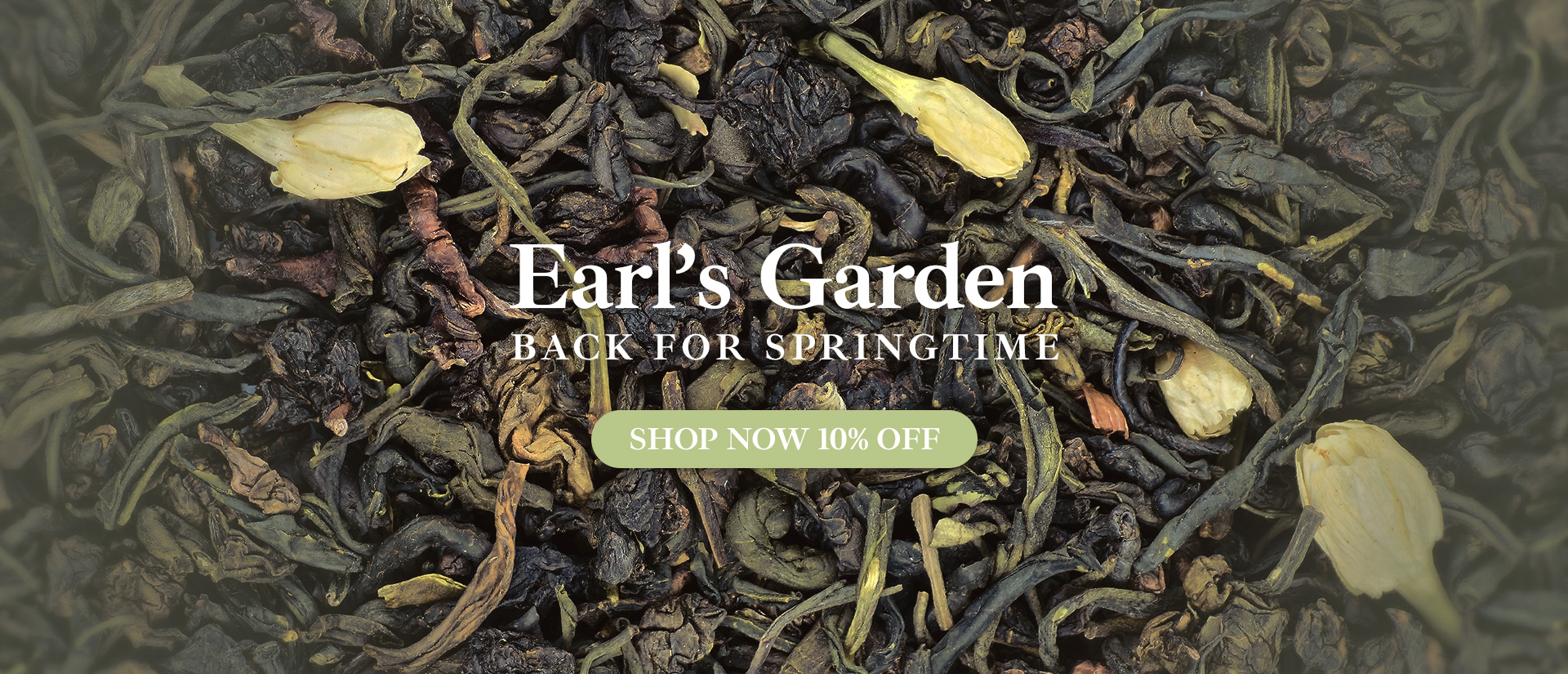 Promotional image featuring Earl's Garden, Murchie's unique green tea Earl Grey blend.